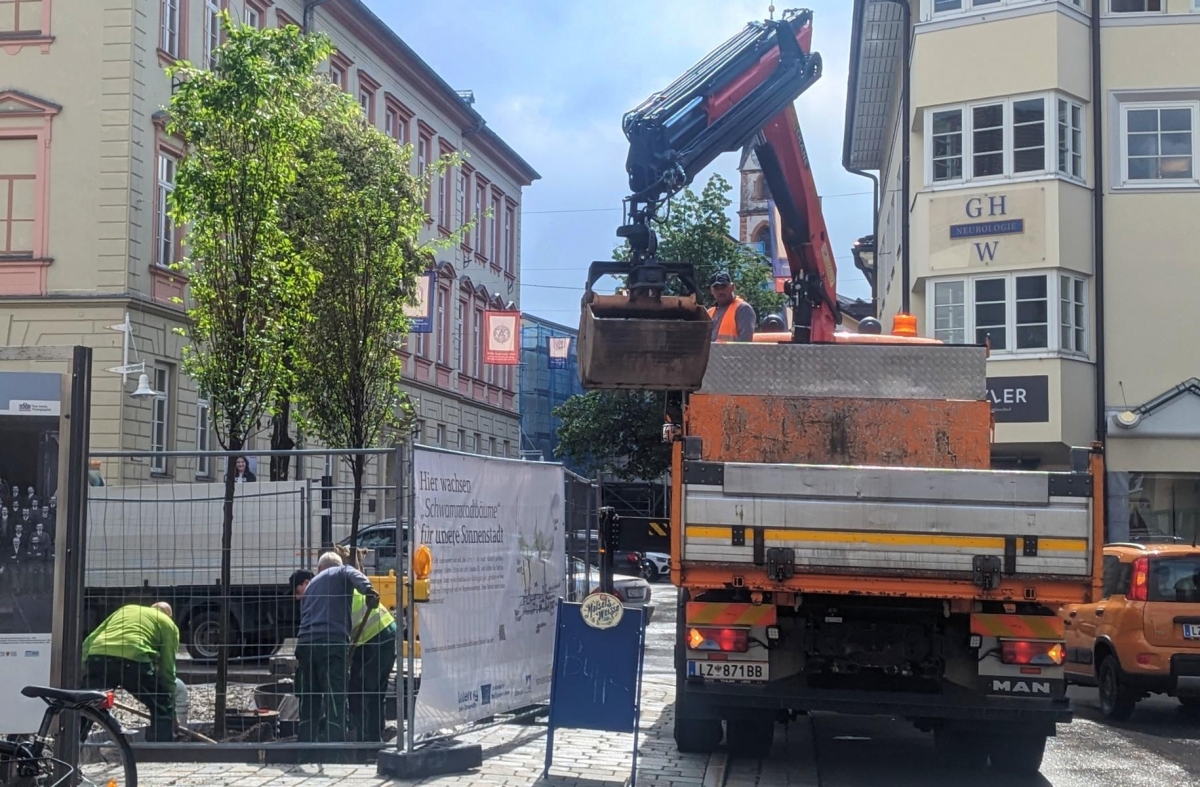 Schwammstadt Lienz: Die ersten B&auml;ume sind gepflanzt