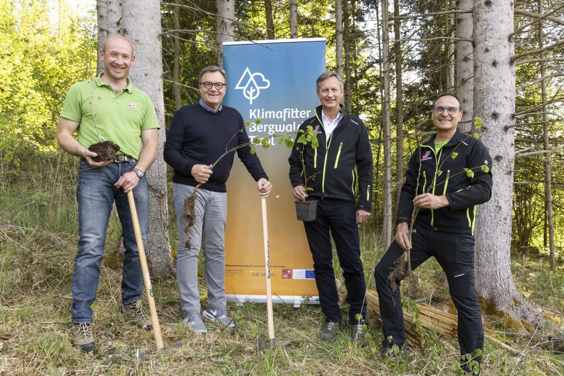 5000 klimafitte B&auml;ume f&uuml;r die ARGE ALP