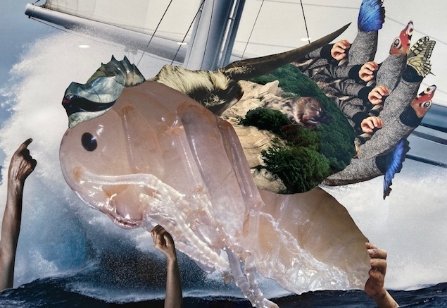 Surreale Collagen &bdquo;Animaliaison&ldquo; von Katharina Zanon