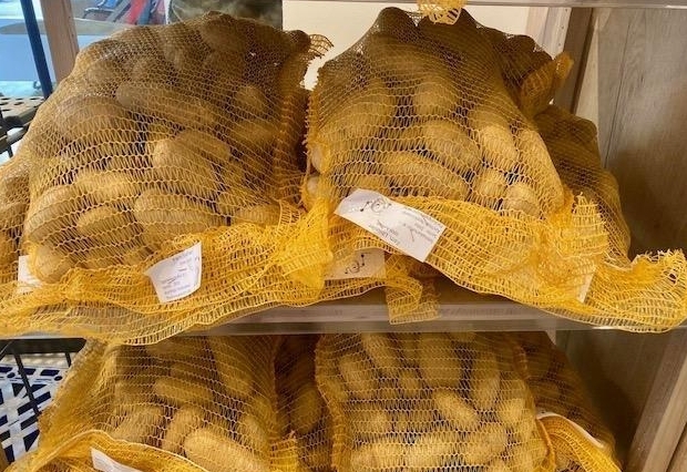 Heimische Erd&auml;pfel stehen nun doch hoch im Kurs