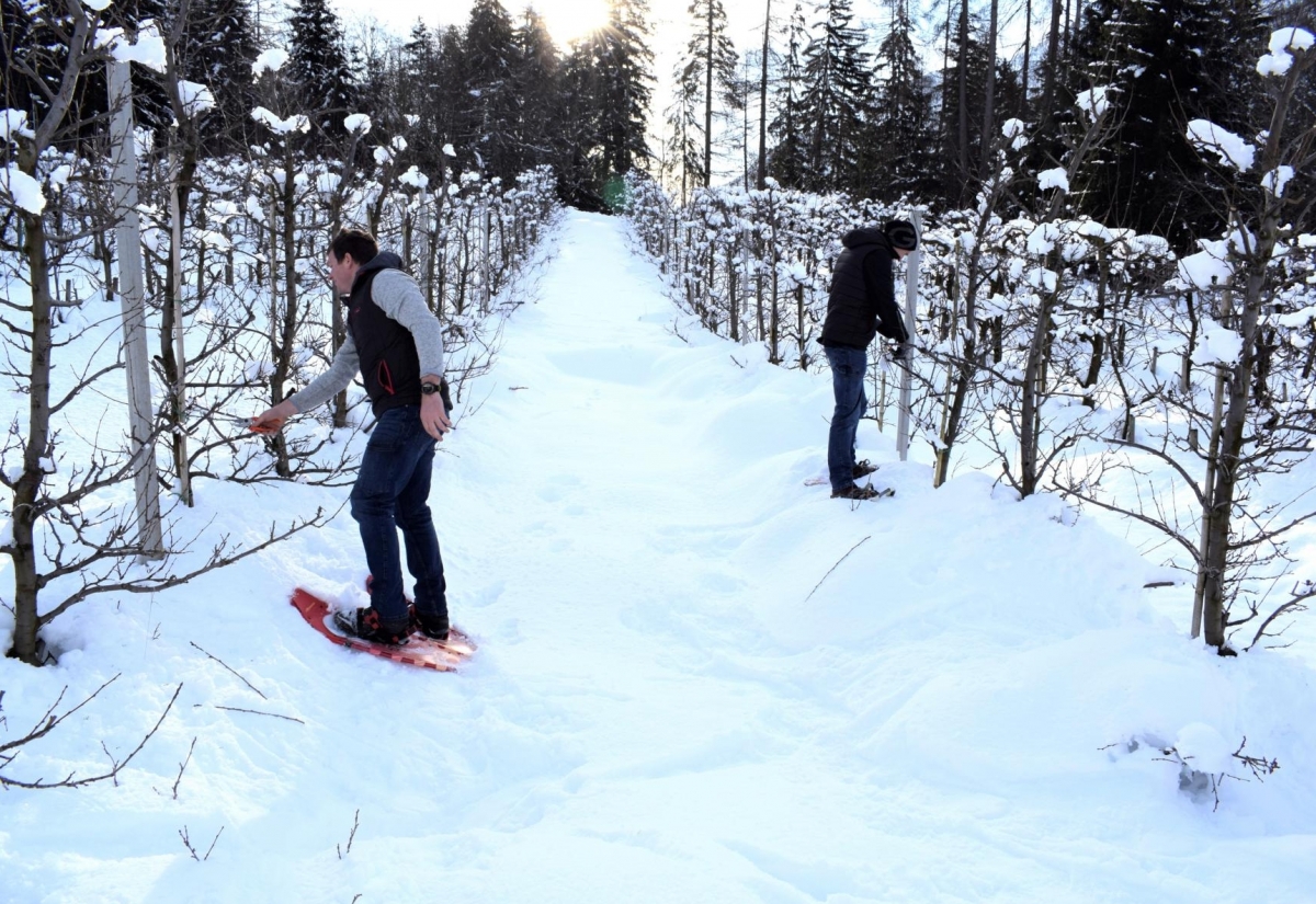 Osttiroler Pregler vom Kuenz gl&auml;nzt in Gold