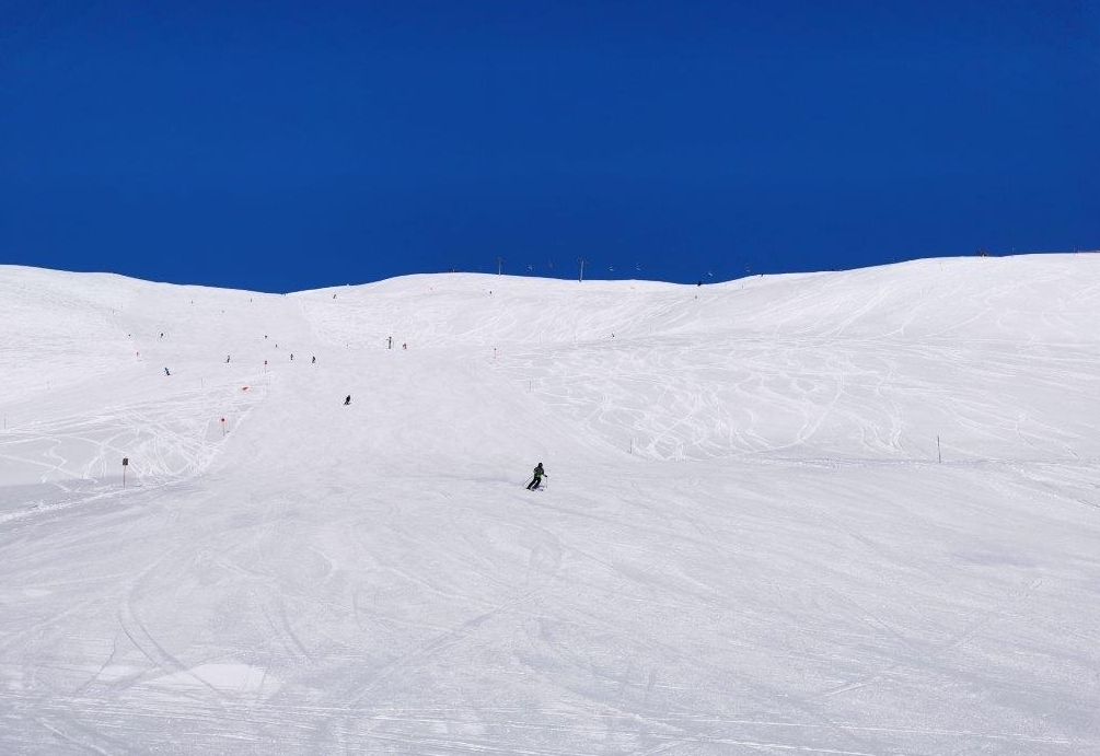 Umfrage: Skifahren am Zettersfeld