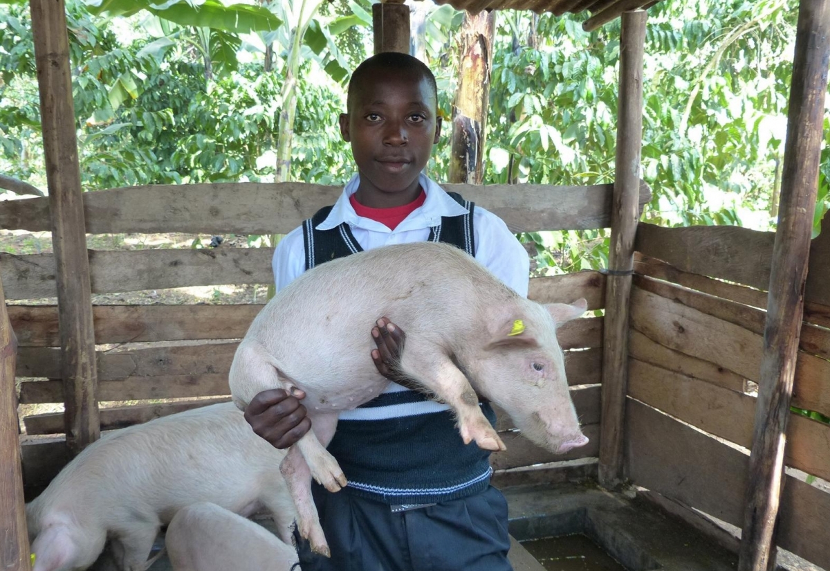 Adventaktion: Gl&uuml;cksschwein f&uuml;r Uganda