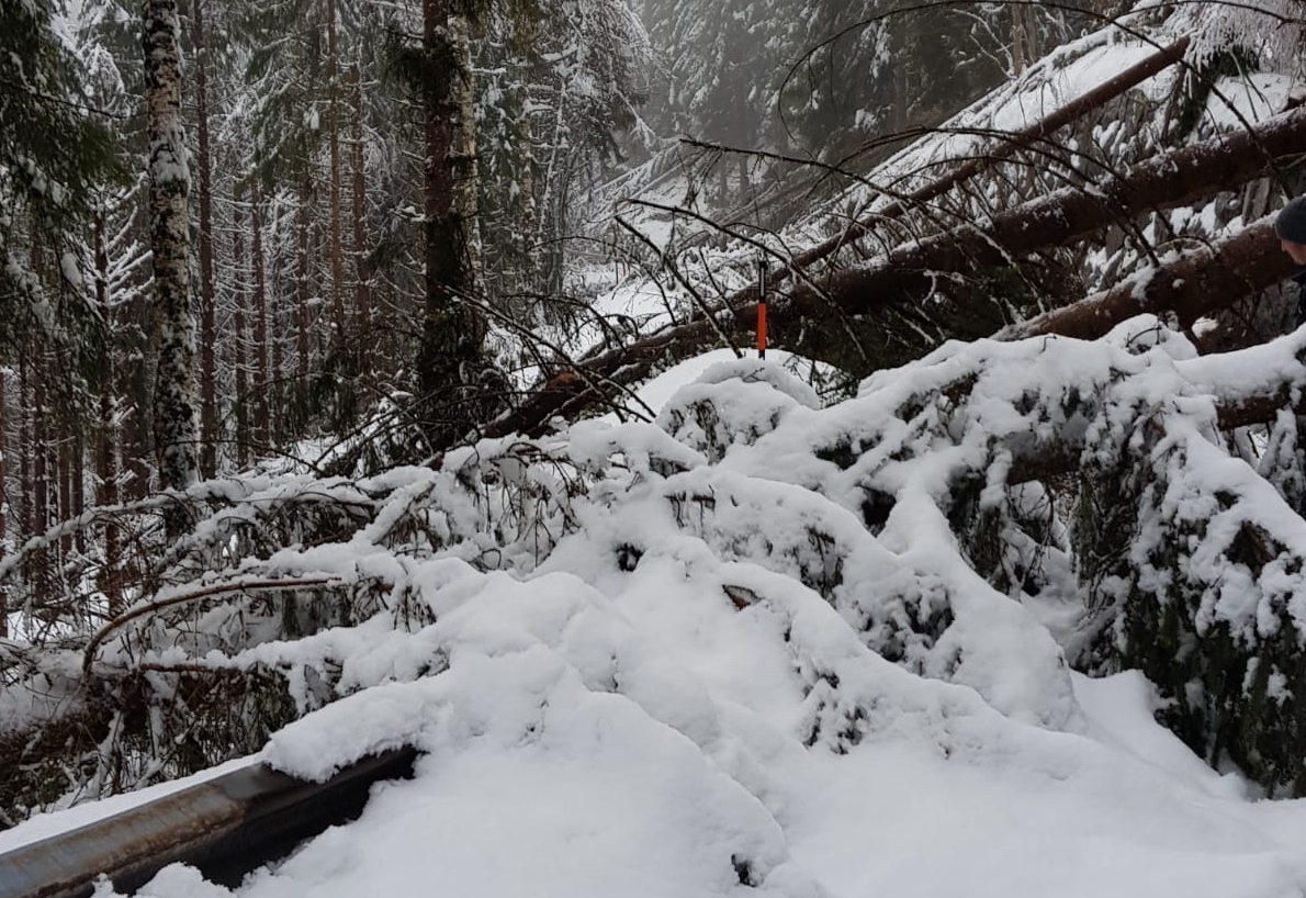 R&uuml;ckblick auf November-Unwetter vor einem Jahr