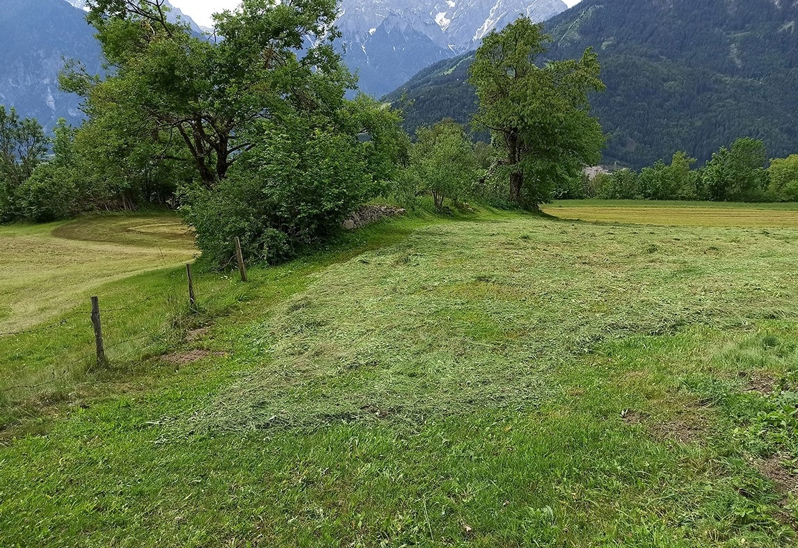 Lehrgang zum Bergb&auml;uerlichen Landschaftsf&uuml;hrer 