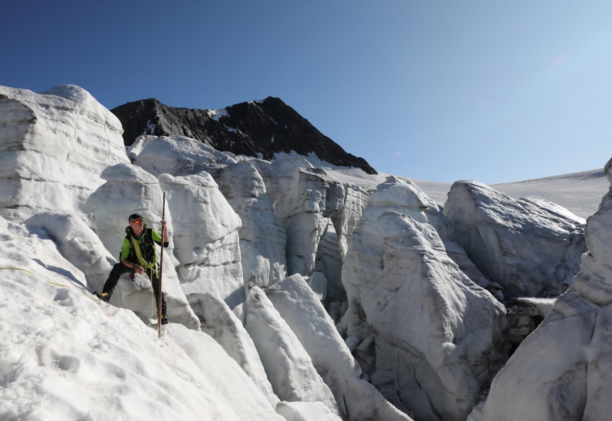 Weltalte Majest&auml;t im Blickpunkt