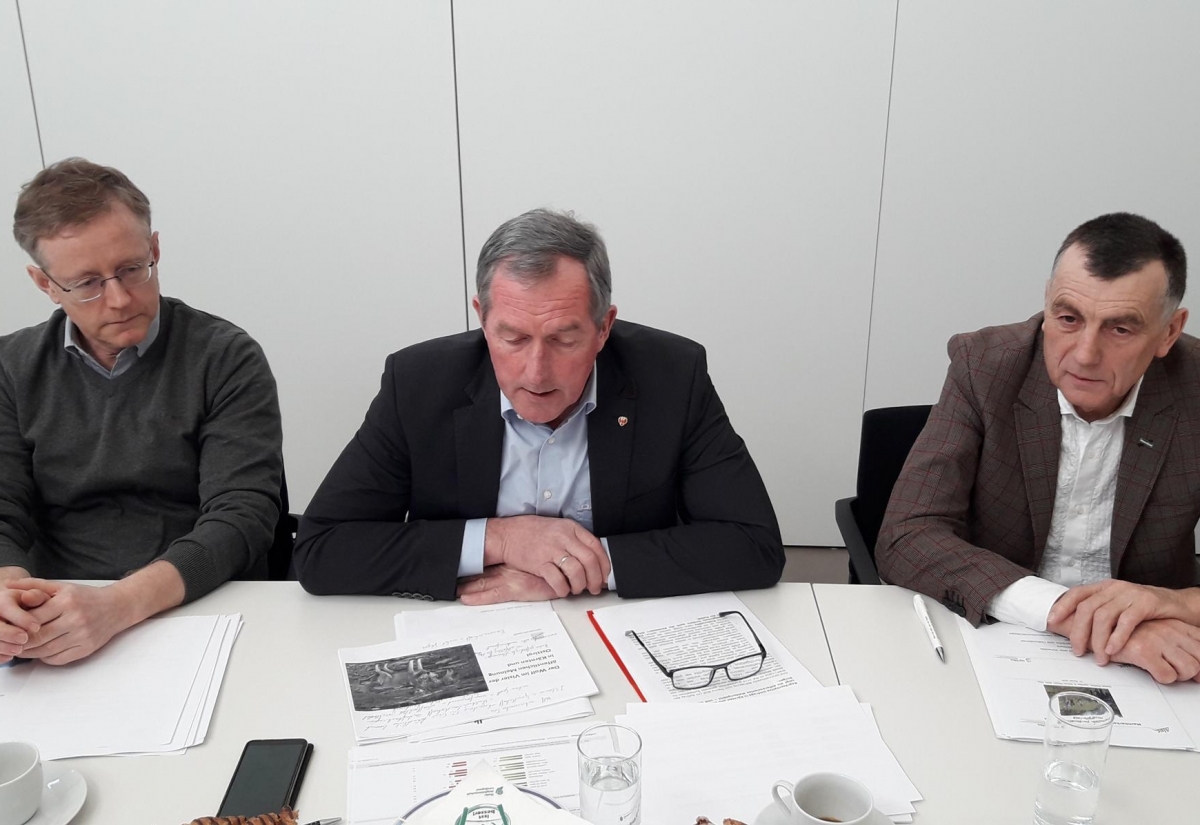 Umfrage zum Wolf zeigt viele Meinungen