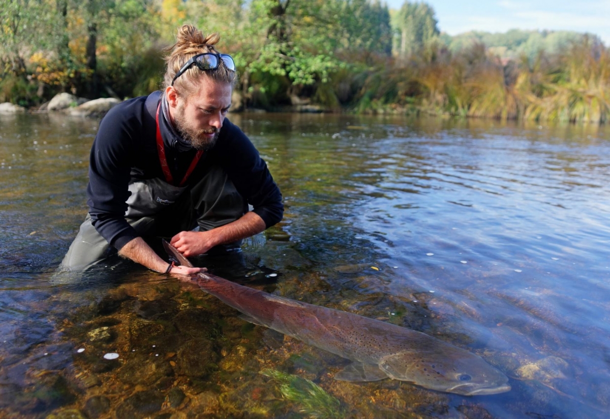 Artenschutz muss auch f&uuml;r Fische gelten