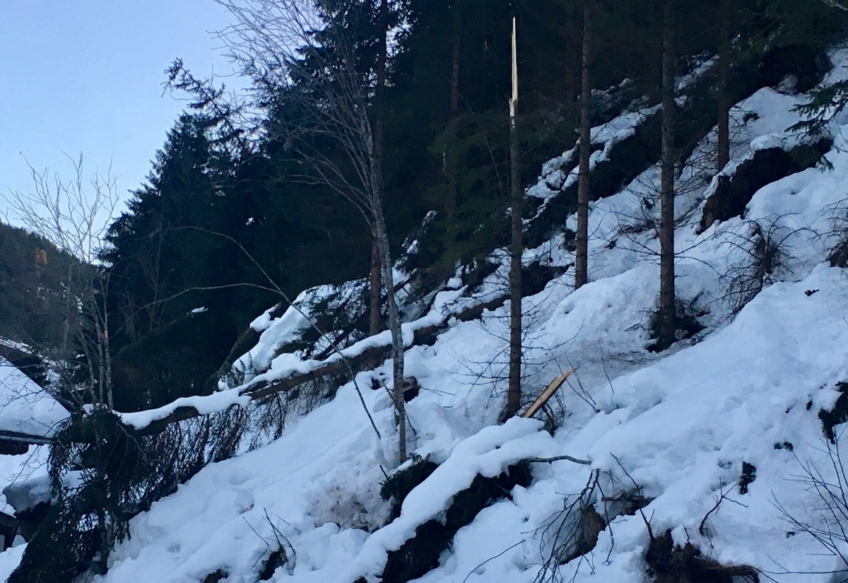 Das gro&szlig;e Aufr&auml;umen beginnt erst im Fr&uuml;hling