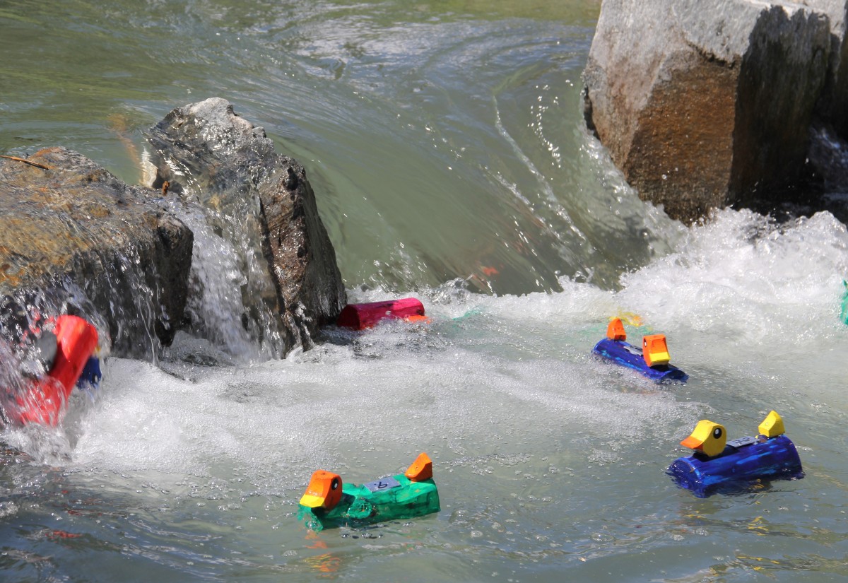 Auch im Gailtal setzt man auf Enten