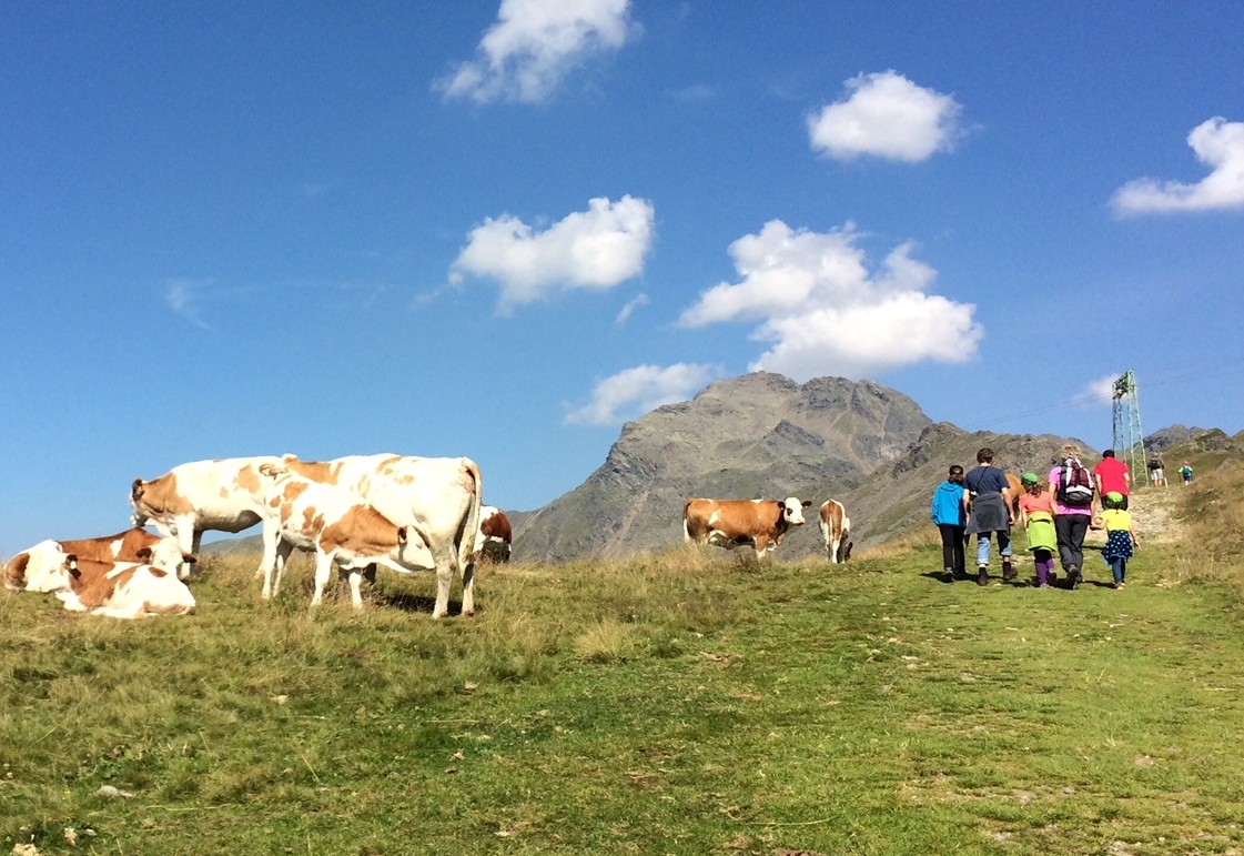 Kuhattacke: Kammer will Urteil durchleuchten