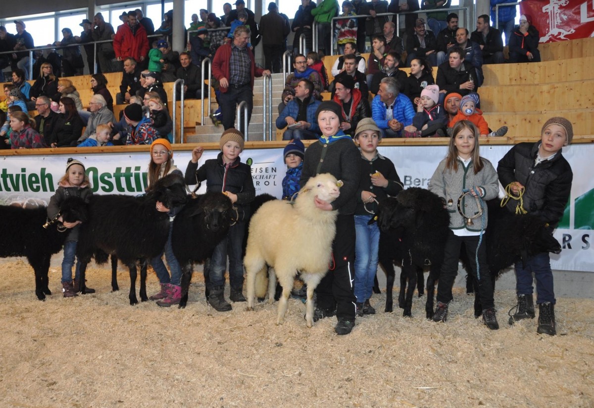 Bezirks-Schafausstellung am Samstag in Lienz