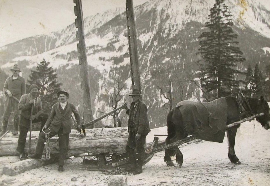 Revival des Kalser Holzfiahns