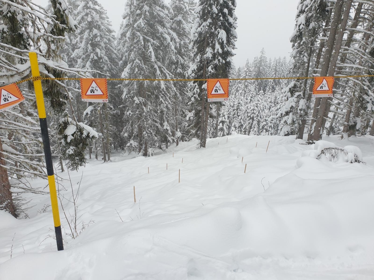 Osttiroler Schutzwald braucht Schutz vor Wintersportlern