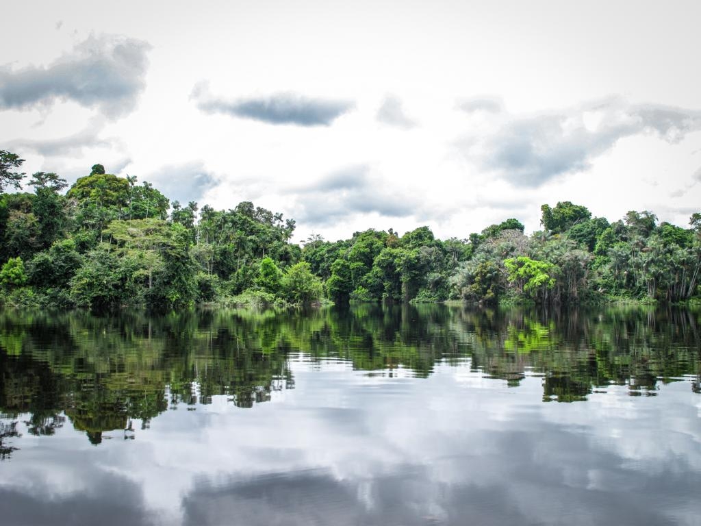 25 Jahre Partnerschaft mit Amazonas-Bev&ouml;lkerung
