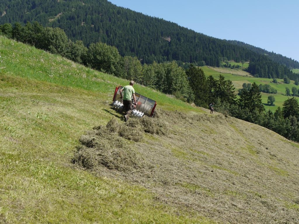 Heuernte f&uuml;r die Tiere im Wildpark Assling