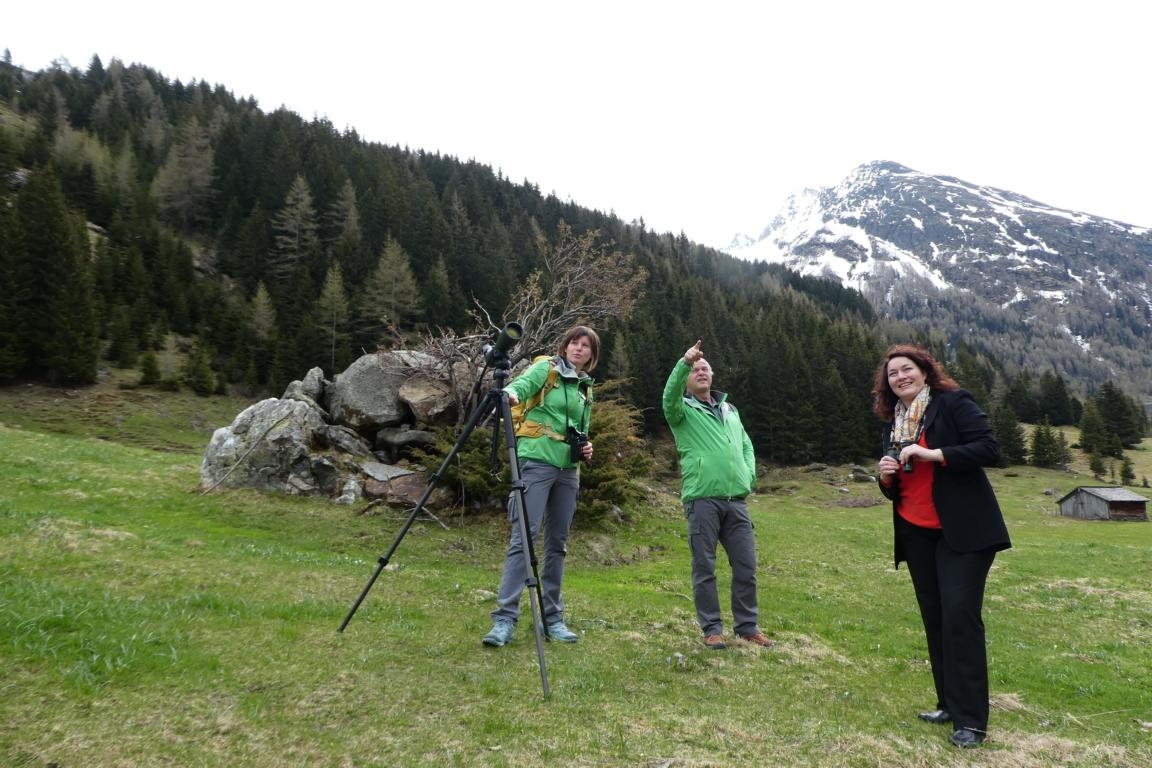 Junior Ranger gesucht