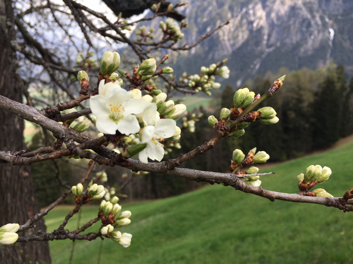 Osttirol war im Fr&uuml;hling &Ouml;sterreichs Sonnen-Hotspot