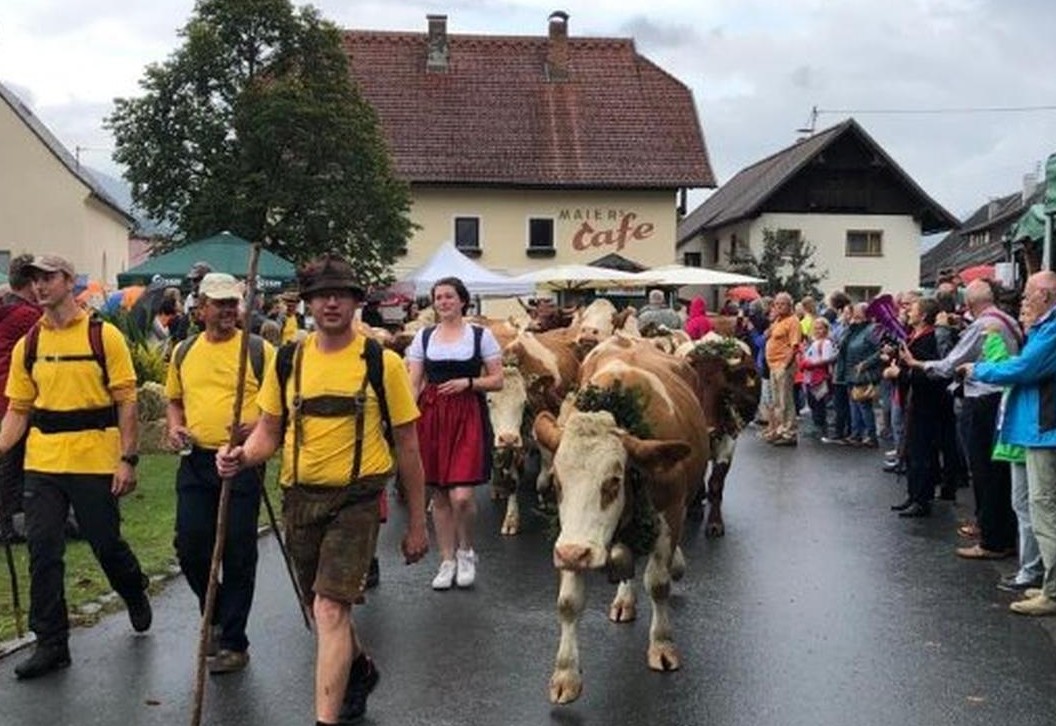 Der Almsommer geht zu Ende