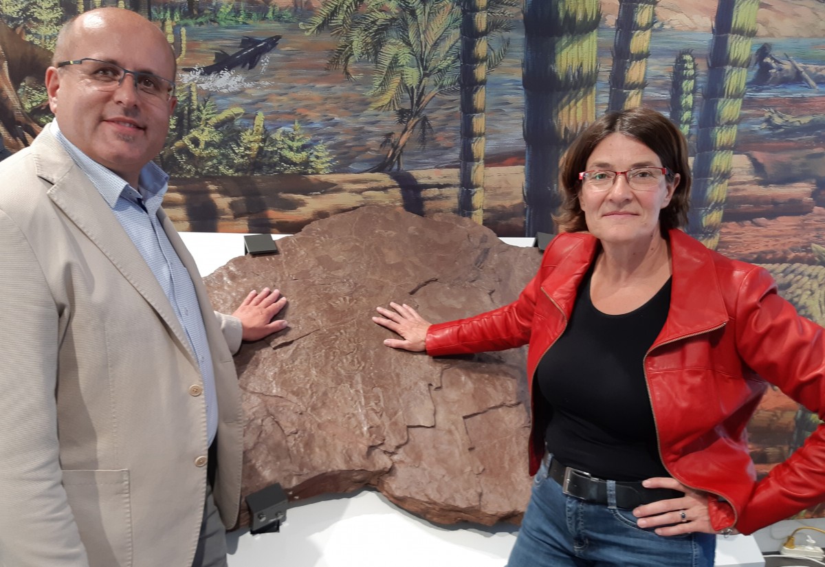 Neue Ausstellung im Geo Park