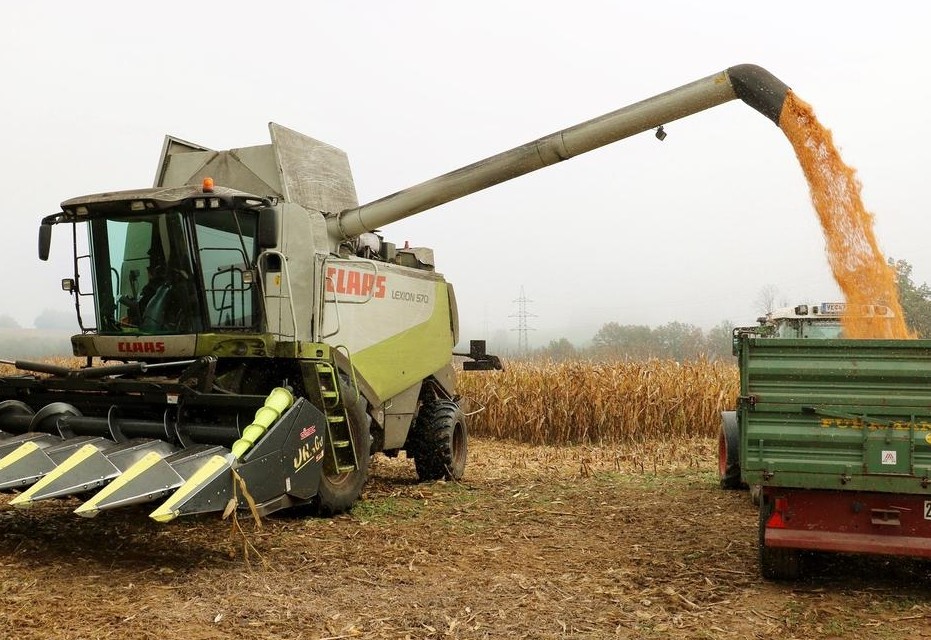 Erntebilanz liegt auf dem Tisch