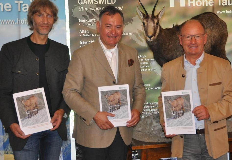 Gamsbestand weiterhin stabil