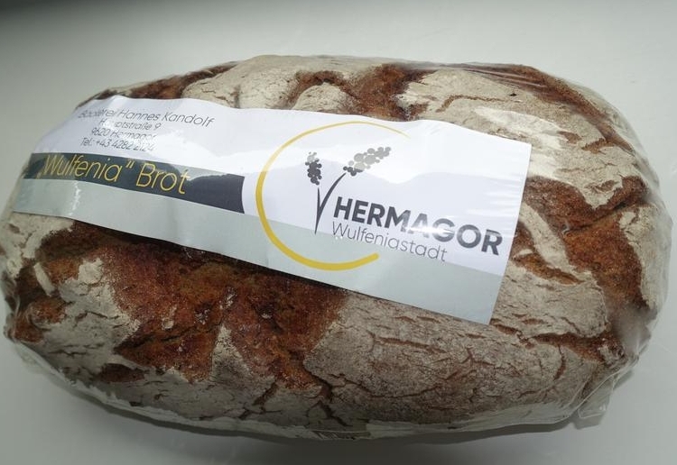 Neues Marken-Logo f&uuml;r die Wulfeniastadt