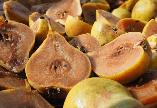 &bdquo;Kletzn-Birn&ldquo;- B&auml;ume im Gailtal gesucht