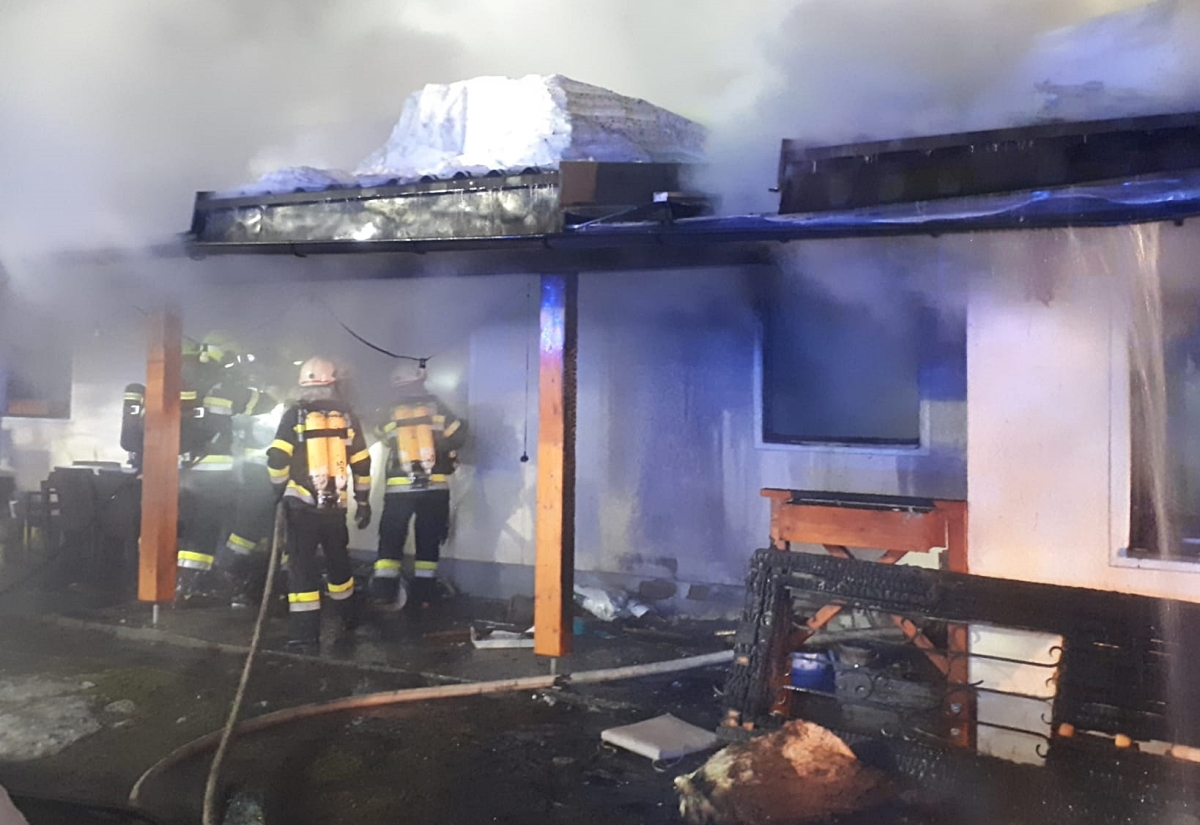 Hunde fielen Brand zum Opfer