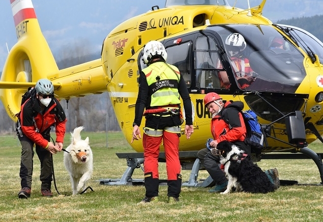 Bergretter auf vier Pfoten trainierten in Spittal