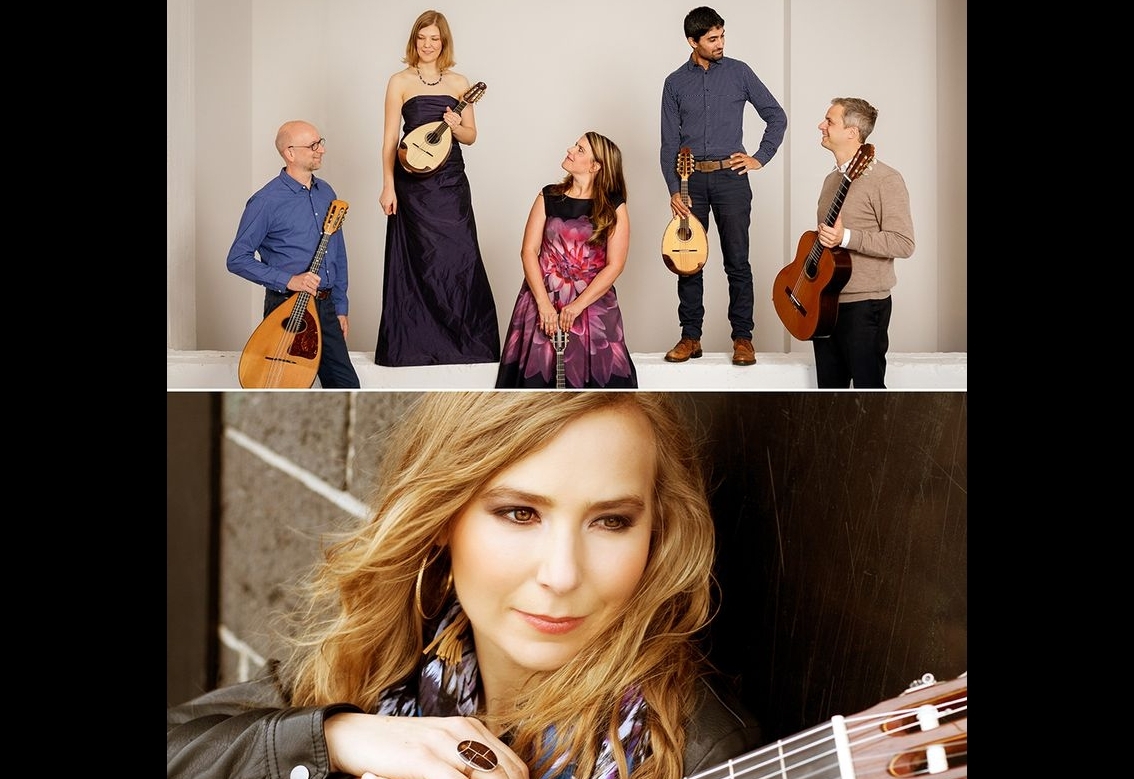 Gitarrenfestival in den Startl&ouml;chern