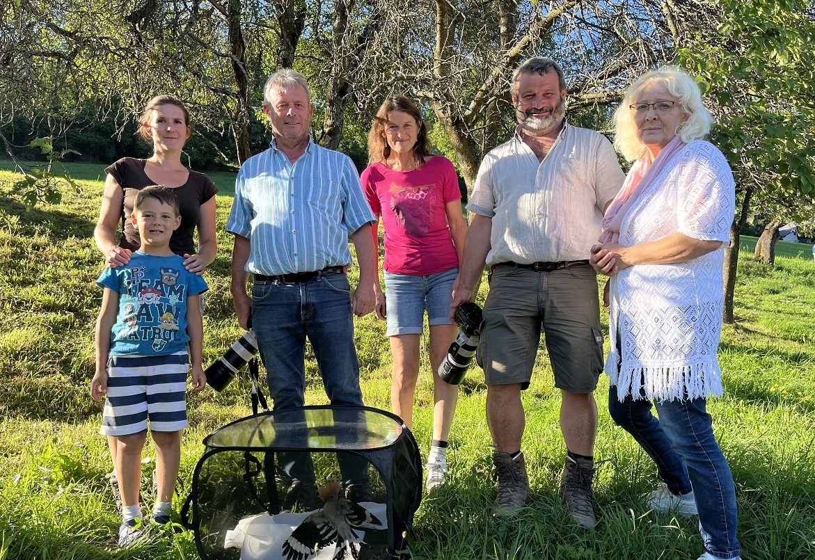 Gute Tat an einem Widehopf 