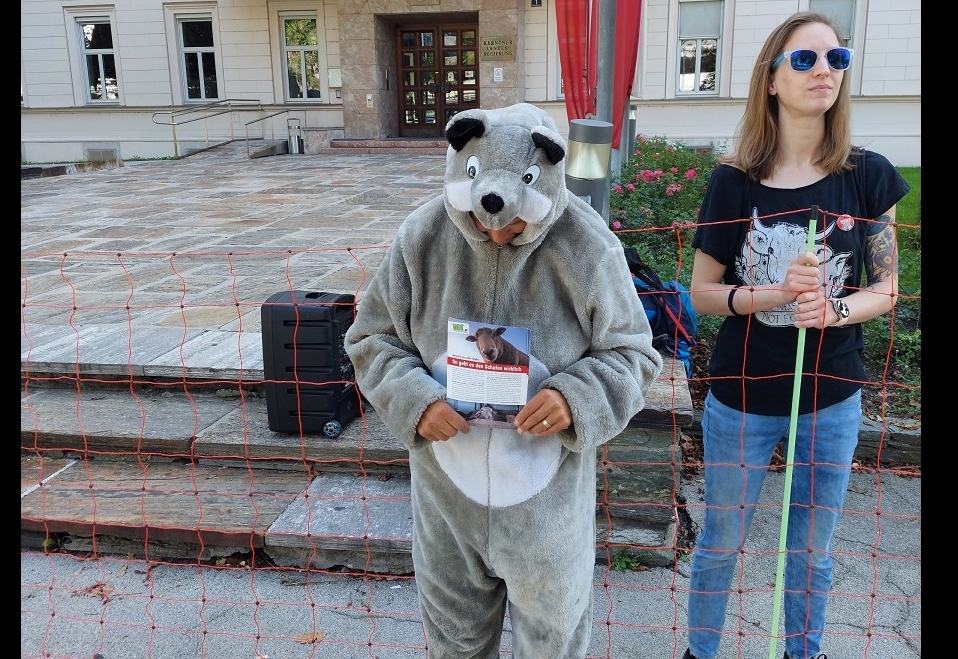 Bewegung in der Wolfs-Thematik