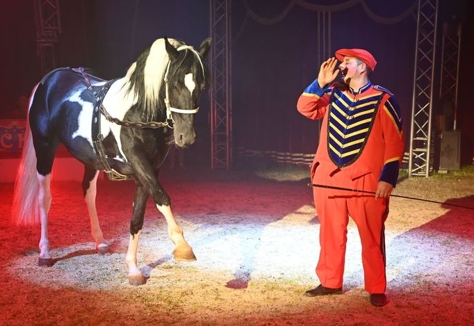 Circus Frankello kommt nach Spittal