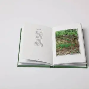 Buch-Innenseite - Ein bunter Lebensstrauß