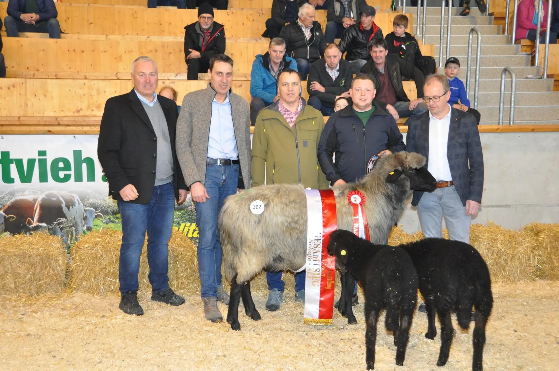 Marcel Steiner holt den Gesamtsieg in der Steinschaf-Gruppe der Altschafe: Foto: RGO