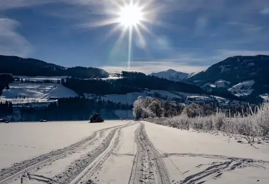 Sicher durch den Winter