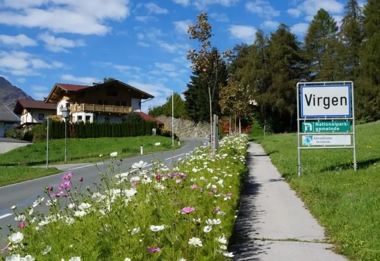 Bienenfreundliche Blumen im öffentlichen Raum