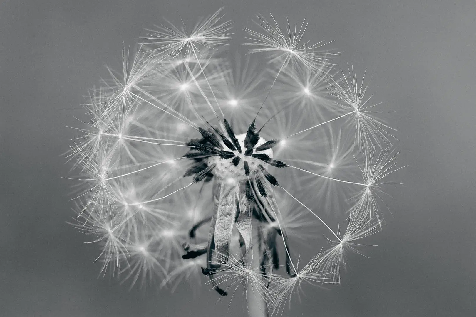 Foto: Sandra Laßnig