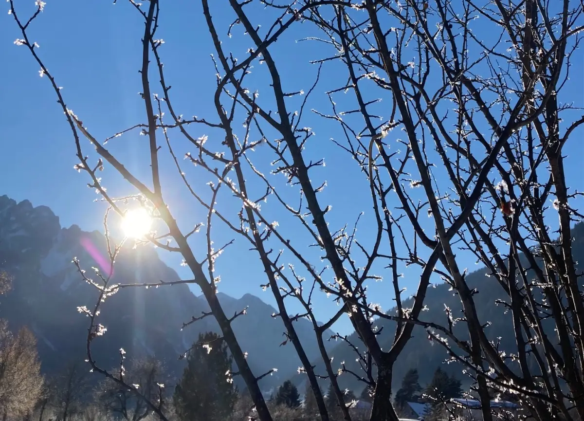 TeilnehmerInnen für Tiroler Resilienz-Studie gesucht