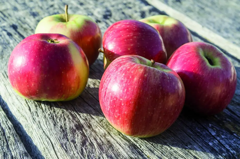 Warum Äpfel hier am besten schmecken