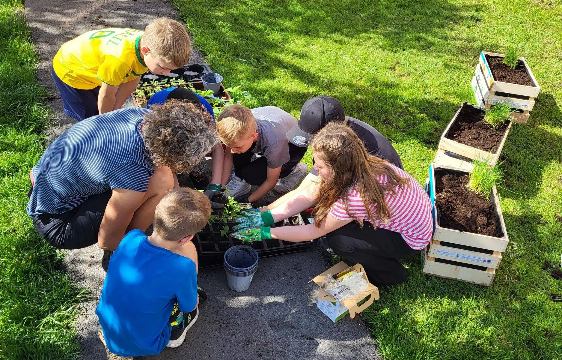 Gemeinsames Bepflanzen unter fachkundiger Anleitung. Foto: Gemeinde Virgen