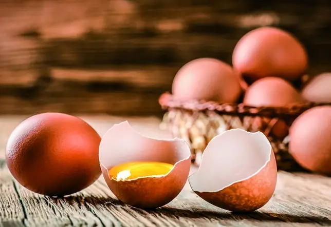 Warum auch die Umwelt Heimvorteil genießt