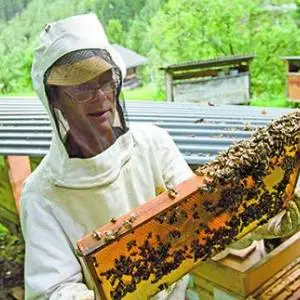 Der Autor Richard Schneider als Imker.