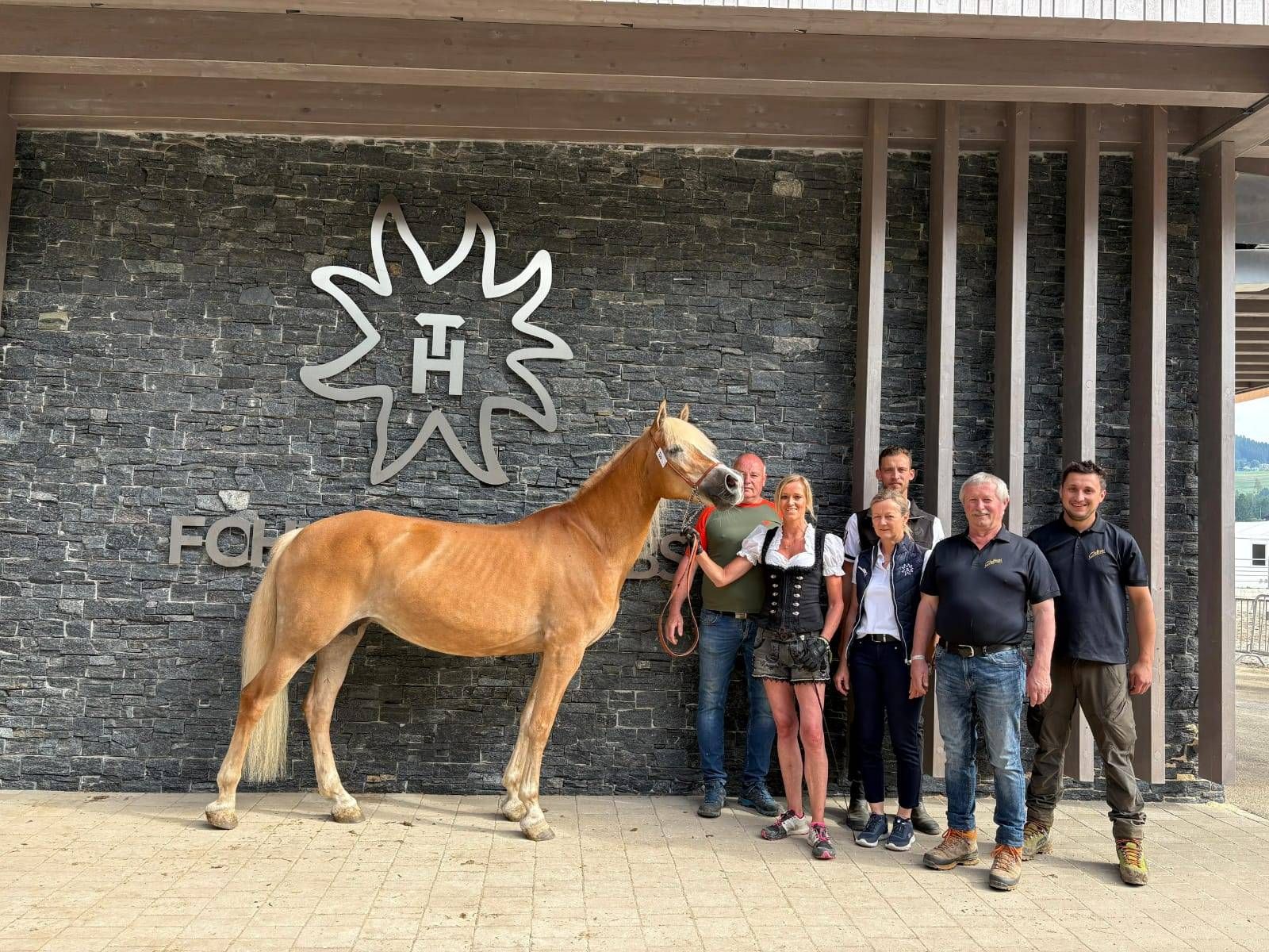 Haflinger-Weltausstellung : Reservesieg f&uuml;r Hengst Westwind