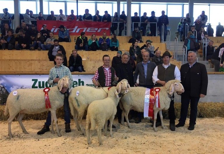 Die sch&ouml;nsten Berg- und Steinschafe sind gek&uuml;rt
