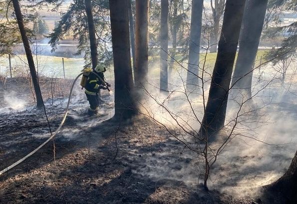 Gr&ouml;&szlig;erer Waldbrand in Spittal verhindert