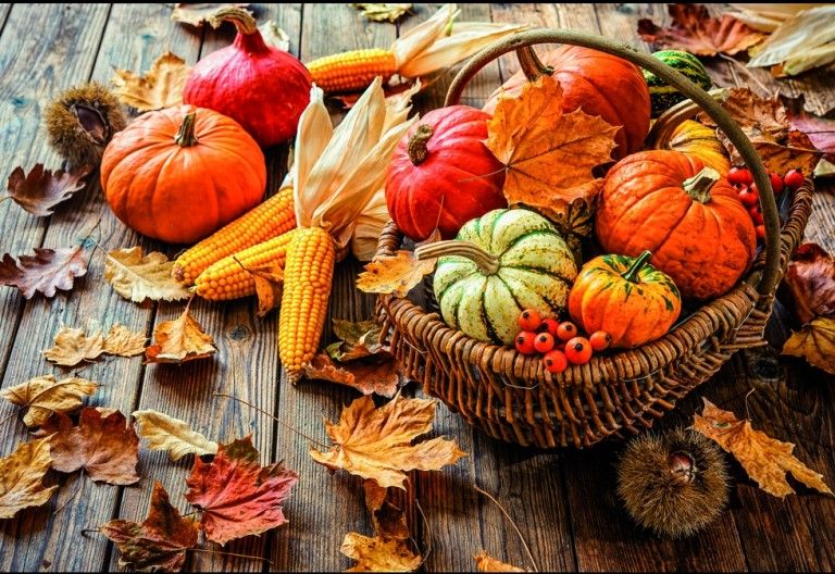 Warum Heimvorteil sogar f&uuml;r das Klima gut ist