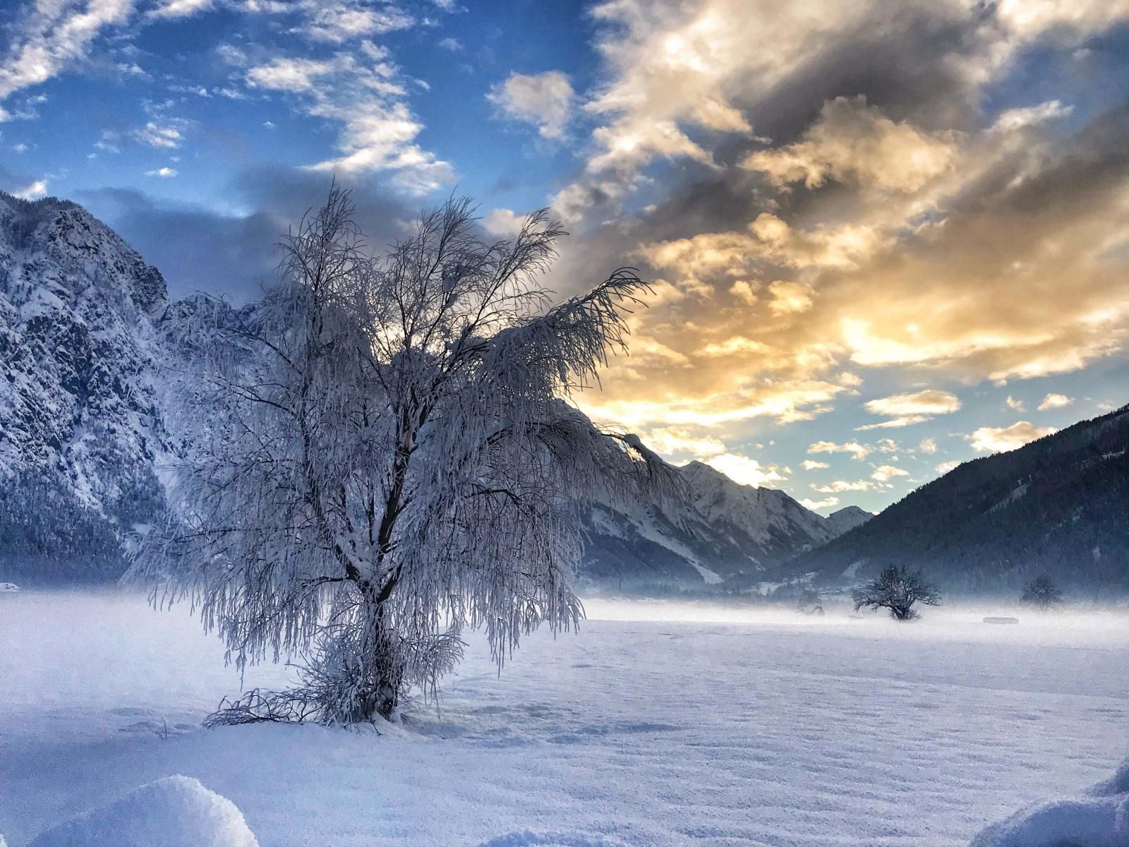 Sarah Klaunzer-Sporer - WinterMood