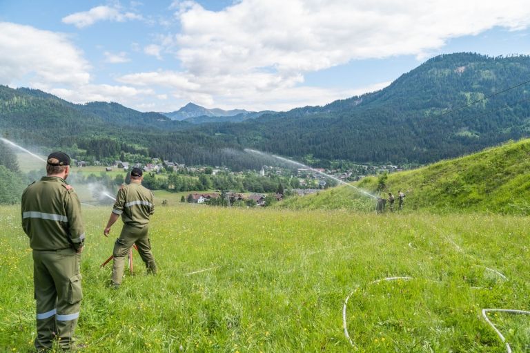 &Uuml;bungsszenario Vegetationsbr&auml;nde